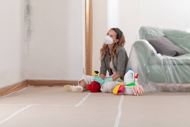 Reliable Mold Remediation contractor in Lodi, NJ by 24 Hour Mold Removal